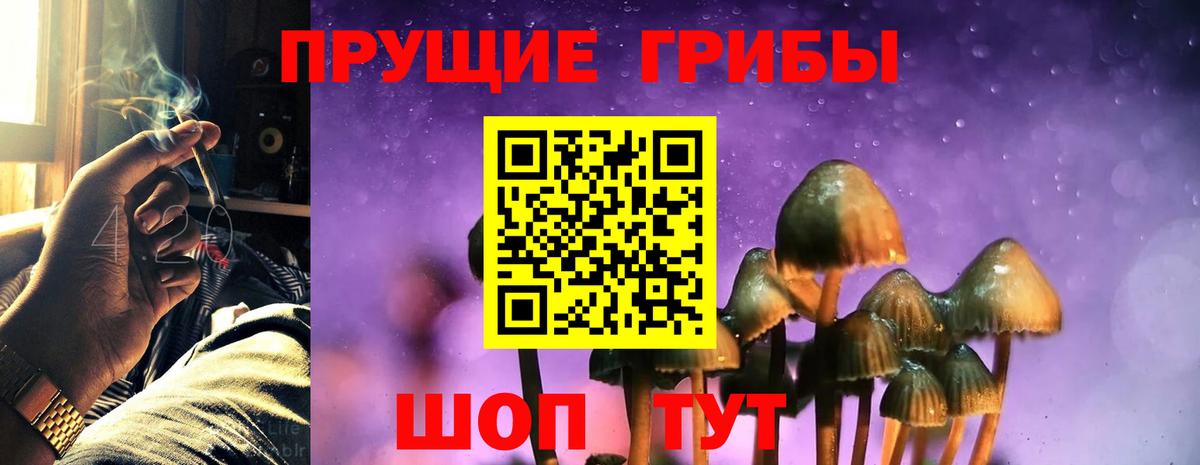 Великий Устюг  Галлюциногенные грибы Psilocybe  Вход с VPN 